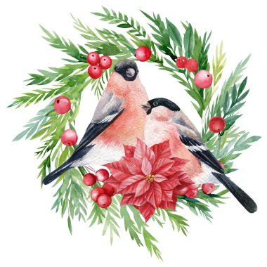 Suluboya Noel çelengi ve boğa ispinozu, yalıtılmış beyaz arka plandaki kuşlar, Viktorya döneminden kalma bir klişe. 