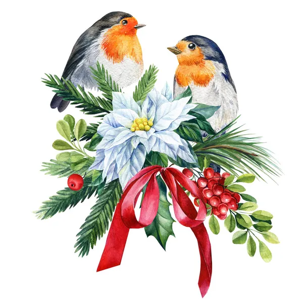 Robin, Holly, Poinsettia, lucfenyő ágak, elszigetelt fehér hátterű madarak, viktoriánus előfizetők. Karácsonyi akvarell — Stock Fotó