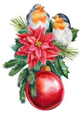 Robin Poinsettia, kutsal dallar ve Noel balosu. Suluboya çizimi