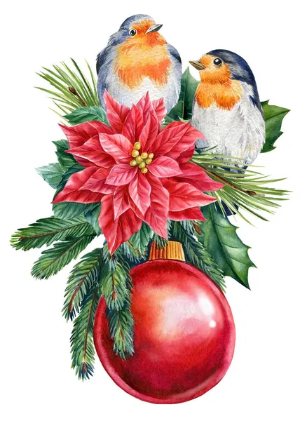 Robin poinsettia, holly branches and Christmas ball. Watercolor illustration — Stock Photo, Image