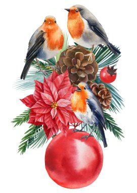 Robin, Holly, Poinsettia, ladin dalları, soyutlanmış beyaz arka plandaki kuşlar, Viktorya dönemi klipleri. Noel suluboya