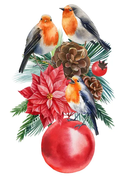Robin, houx, poinsettia, branches d'épinette, oiseaux sur fond blanc isolé, clipart victorien. Aquarelle de Noël — Photo