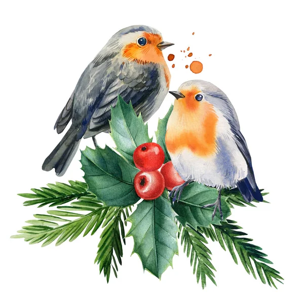 罗宾，冬青树枝和浆果。水彩画，圣诞插图 — 图库照片