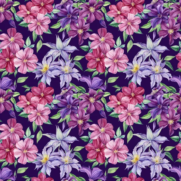 Μωβ και ροζ λουλούδια, κληματίδα, φύλλα και μπουμπούκι ακουαρέλα σχέδιο χέρι. Floral απρόσκοπτη μοτίβο, λιβάδι αγριολούλουδα — Φωτογραφία Αρχείου