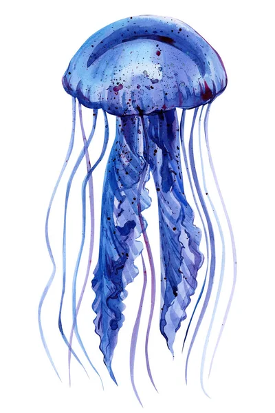 Акварель медузы на изолированном белом фоне, ручной рисунок — стоковое фото