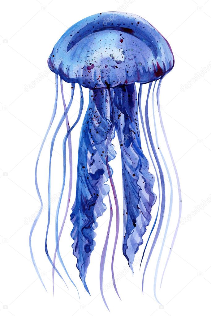 Watercolor Jellyfish on an isolated white background, hand drawing