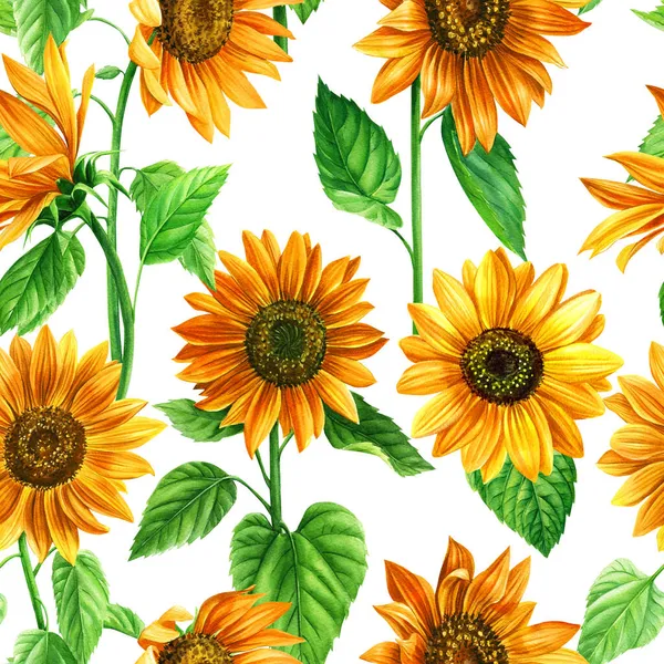 Sunflowers buket warna tangan cat air dicat pola mulus — Stok Foto