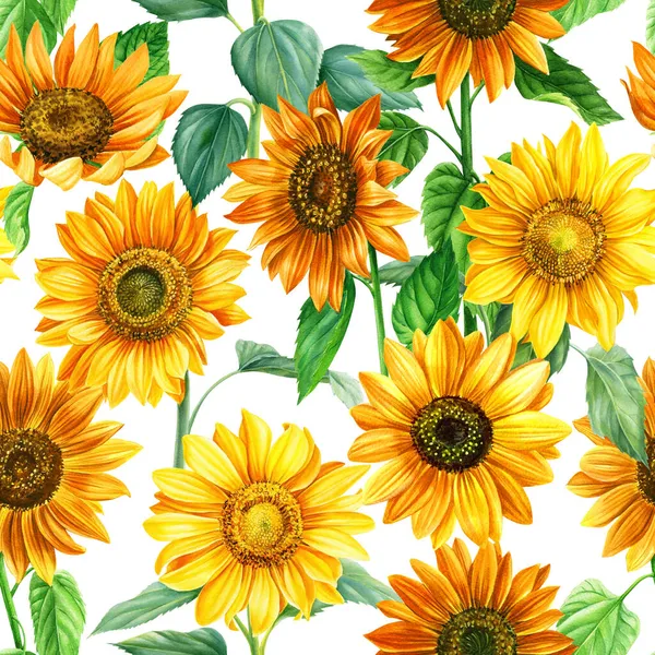 Sunflowers buket warna tangan cat air dicat pola mulus — Stok Foto