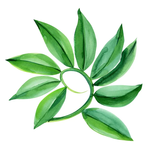 Tropické listí na bílém pozadí, design džungle. botanická akvarel malba, květinový prvek, palmový list — Stock fotografie