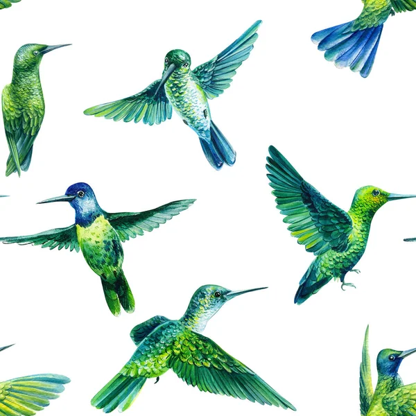 Hummingbird birds watercolor illustration seamless pattern — Stock Photo, Image