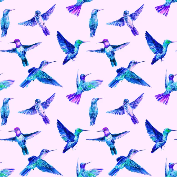 Kolibříci akvarel ilustrace hladký vzor — Stock fotografie
