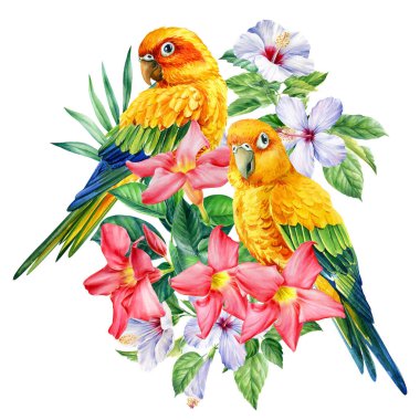 Şirin turuncu papağanlar. Tropikal yapraklar, çiçekler ve kuşlar, izole edilmiş arka plan, suluboya resimleme. Çifte kumrular.