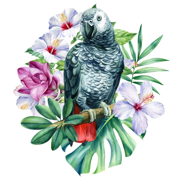 热带树叶、花朵和独立的白色背景上的鸟类鹦鹉、水彩画、灰鹦鹉 — 图库照片
