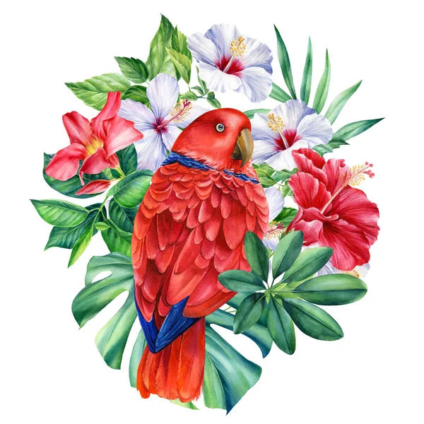 Trópusi levelek, virágok hibiszkusz és vörös madár papagáj egy elszigetelt fehér háttér, akvarell illusztráció — Stock Fotó