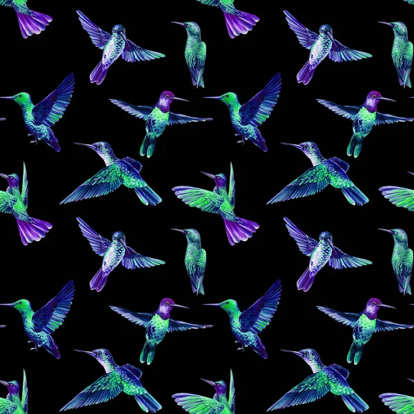 Colorful Hummingbird birds watercolor illustration seamless pattern — Stock Photo, Image