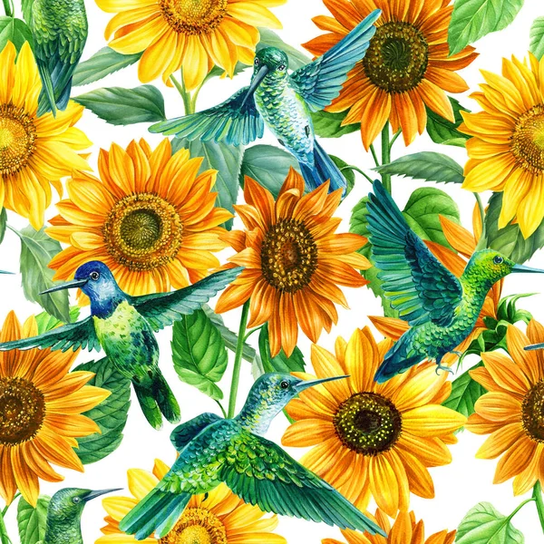 Kolibříci a slunečnice akvarel ilustrace bezešvný vzor — Stock fotografie