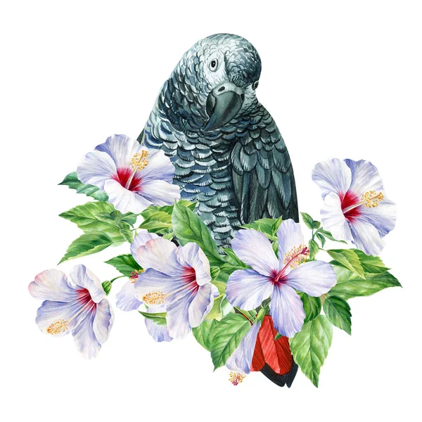 Hojas tropicales, flores y loro pájaro sobre un fondo blanco aislado, acuarela ilustración —  Fotos de Stock