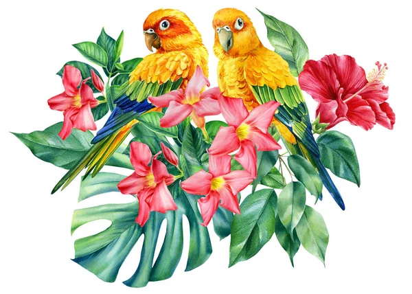 Print of tropical leaves, hibiscus flowers and lovebirds on an isolated white background, watercolor illustration