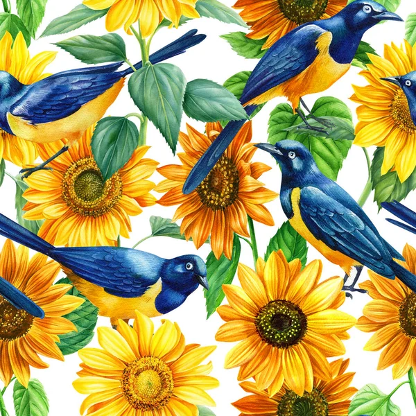 Vögel Star und Sonnenblume, Aquarell Illustration nahtlose Muster — Stockfoto