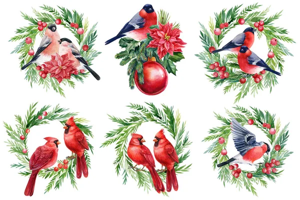 Dekorasyon seti, kuşlu şenlikli çelenkler, kırmızı kardinal, ispinozlar ve ardıç kuşu, suluboya çizimi — Stok fotoğraf