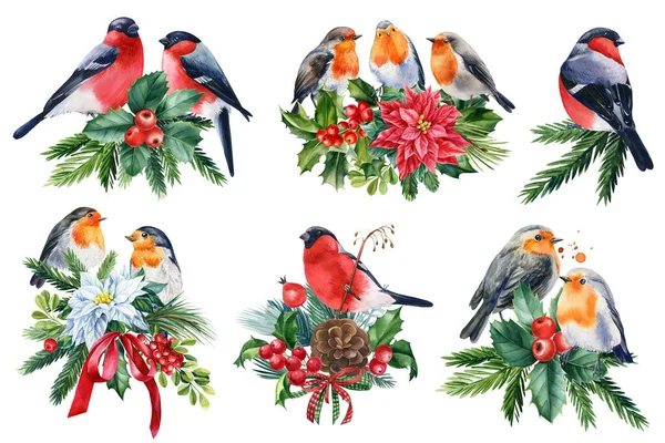 Conjunto de decorações de férias com pássaros, bullfinches e robin em um fundo branco isolado, ilustração aquarela — Fotografia de Stock