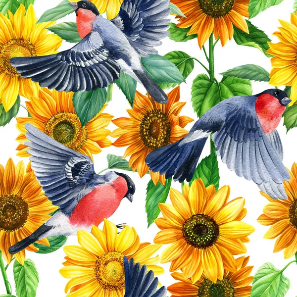 Bullfinches and sunflowers, flowers and birds watercolor illustration seamless pattern — Stock Photo, Image