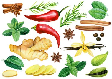 Suluboya baharatları. Nane, biber, kardamon, vanilya, tarçın, anason, zencefil ve biberiye izole edilmiş arka plan