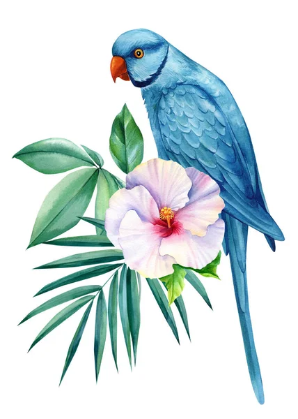 Pássaro azul. Papagaio e flor tropical no fundo branco isolado, ilustração aquarela, projeto da selva — Fotografia de Stock
