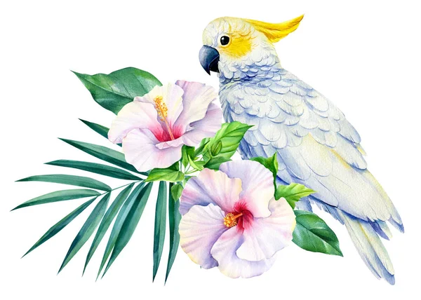 Kakadu papagáj és trópusi virág elszigetelt fehér háttér, akvarell illusztráció, dzsungel design — Stock Fotó