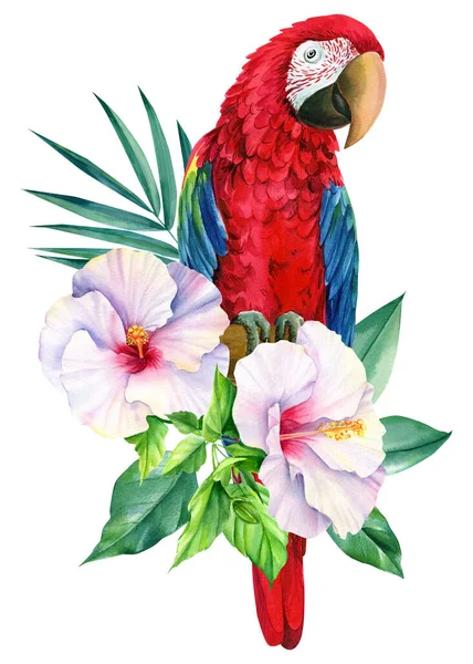 Papagaio vermelho, folha de palma e flor tropical no fundo branco isolado, ilustração aquarela, projeto da selva — Fotografia de Stock