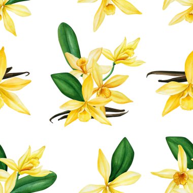 Tropik, pürüzsüz desen. Vanilya çiçekleri. Çiçekli yaz