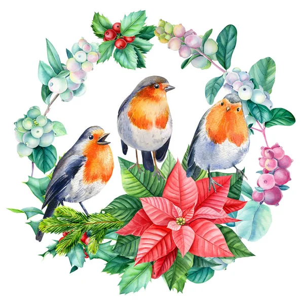 Couronne de Noël aquarelle avec des oiseaux robin, dessinée à la main sur fond blanc isolé — Photo