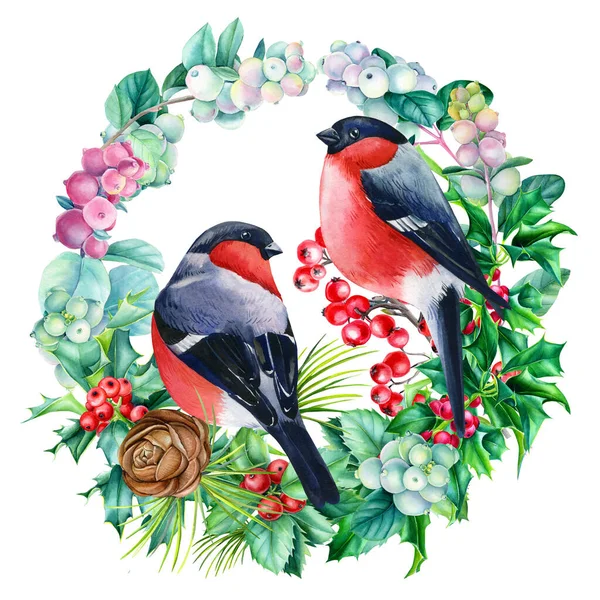 水彩鳥、ブルフィンチとクリスマスの花輪、孤立した白い背景に描かれた手 — ストック写真
