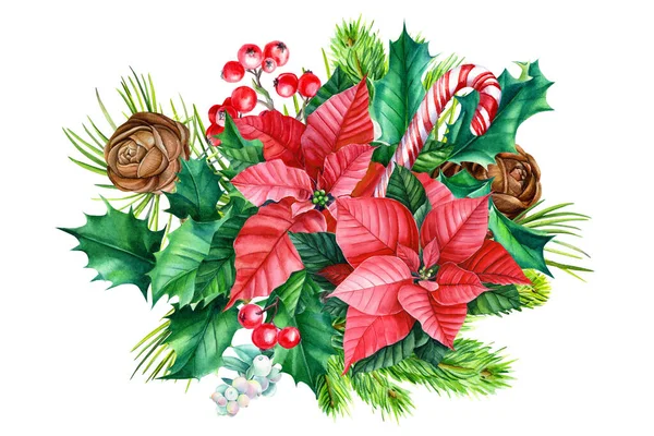 Karácsonyi kompozíció, poinsettia, fenyőágak és vörös bogyók fehér alapon — Stock Fotó
