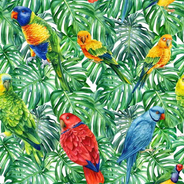 Patrón sin costura de acuarela con loros. Aves tropicales y hojas de palma de la selva. Diseño floral pintado a mano —  Fotos de Stock