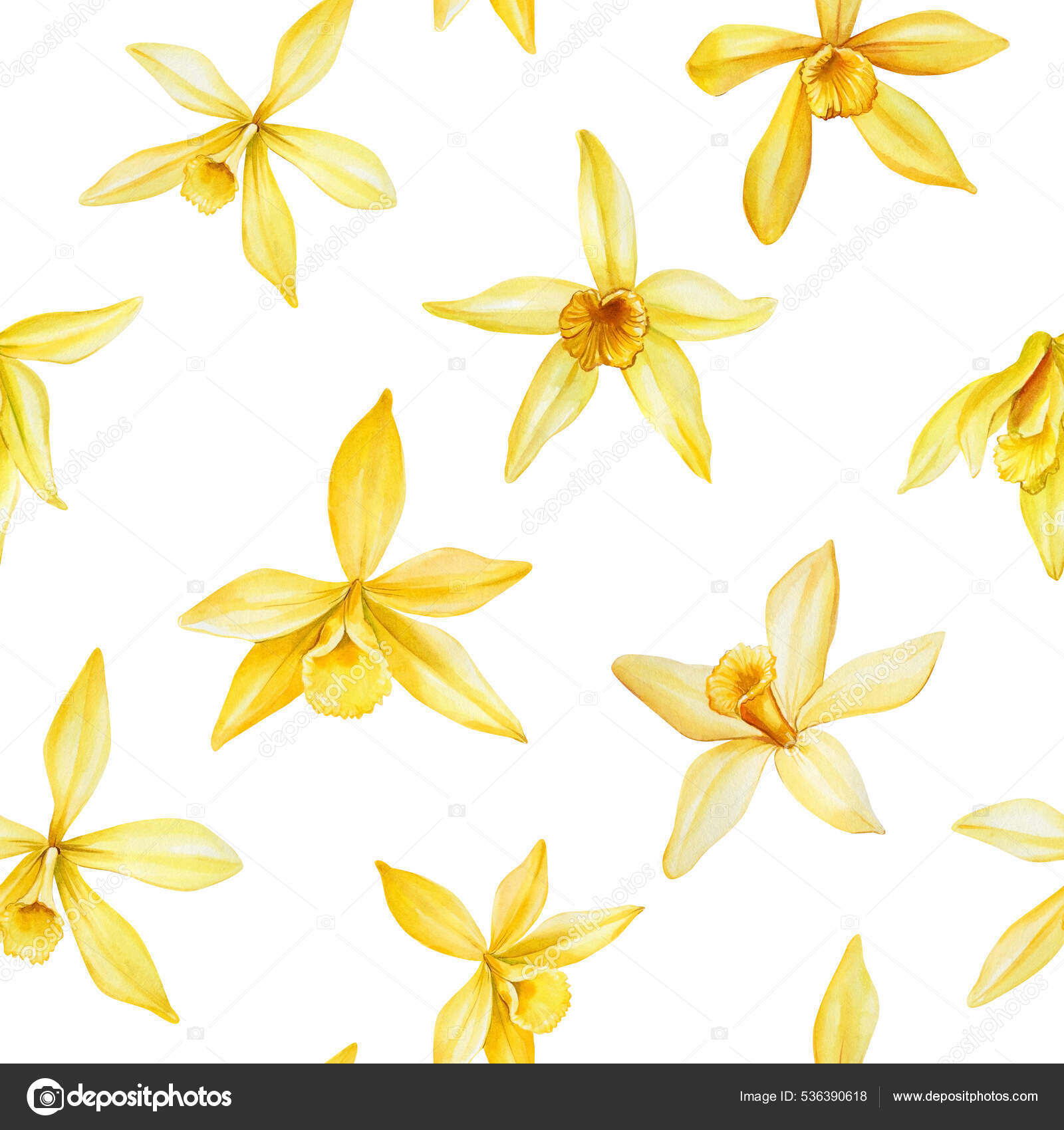 Patrón tropical sin costuras. Flores de vainilla. Flor de orquídea para  fondos de pantalla, fondos, texturas de superficie, textil. Ilustración de  stock #536390618 de ©gringoann, image size:1600x1700