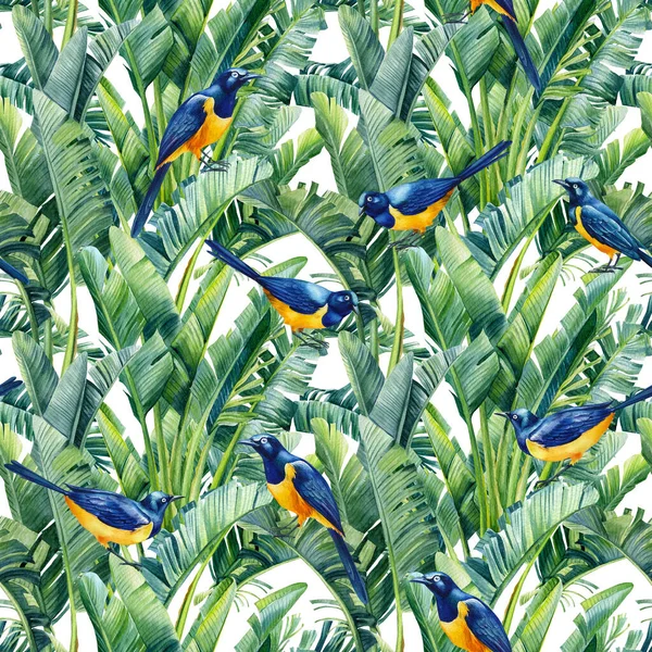 鳥の鳴き声とジャングルのヤシの葉のシームレスなパターン。花のデザイン。水彩熱帯手描き — ストック写真