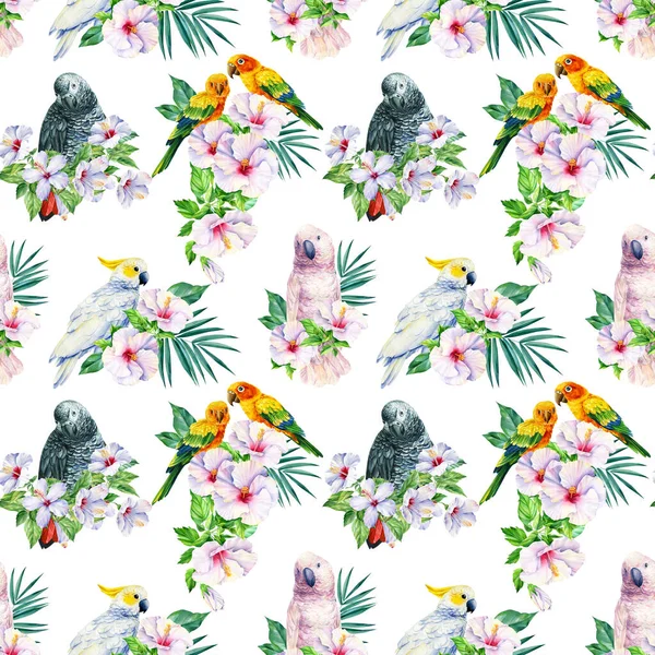 Patrón sin costura tropical acuarela con loros y flores de hibisco. aves y hojas de palma de la selva. Diseño floral — Foto de Stock