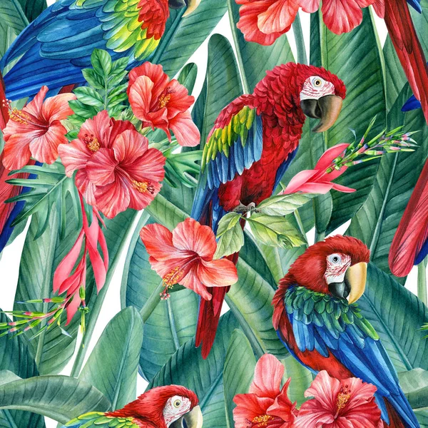 Tropik kuş papağanları, egzotik orman bitkileri yaprakları, çiçekler. Soyut arkaplan. Kusursuz desen
