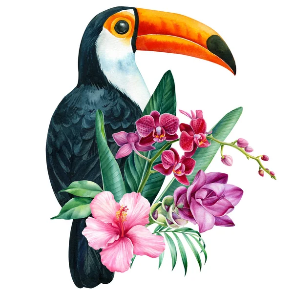 Тукан і тропічні квіти орхідея, куркума, пальмове листя на ізольованому білому тлі, акварельний ботанічний живопис — стокове фото
