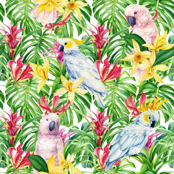 水彩缤纷的夏天奇异的丛林植物热带棕榈叶,香草花.模式，无缝花鸟和鹦鹉鸟 — 图库照片