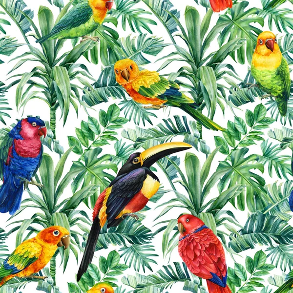 Yaz mevsiminin egzotik orman bitkisi tropikal palmiye yaprakları. Desen, pürüzsüz çiçek ve kuş tütünü, papağanlar.