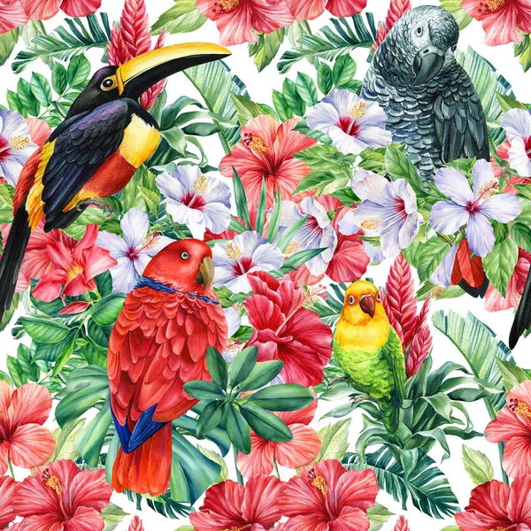 Imprimir hojas de palma tropical de plantas de selva exóticas de verano. Patrón, sin costuras floral y tucán pájaro, loros —  Fotos de Stock
