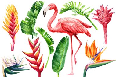 Egzotik çiçekler, palmiye yaprakları ve flamingo. Suluboya Botanik parlak doğa izole arkaplan koleksiyonu.