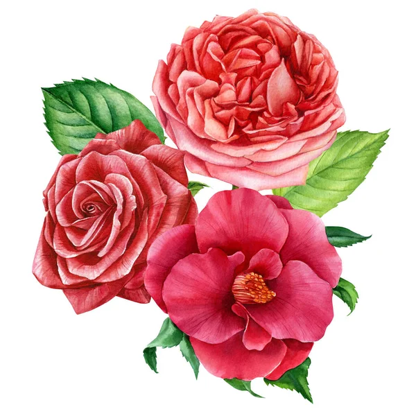 Ramo de flores, camelia y rosa sobre blanco aislado, dibujo acuarela, pintura botánica — Foto de Stock