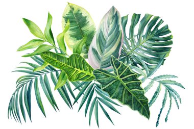 Watercolor bouquet of tropical leaves and branches isolated on white background, jungle design. Tropical leaves