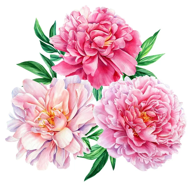 Bouquets with peonies, greeting card. Flower illustration, pink peony on a white background. watercolor painting — Φωτογραφία Αρχείου