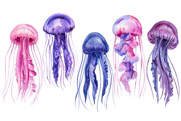 Conjunto de medusas aquarela, isolado no fundo branco subaquático — Fotografia de Stock