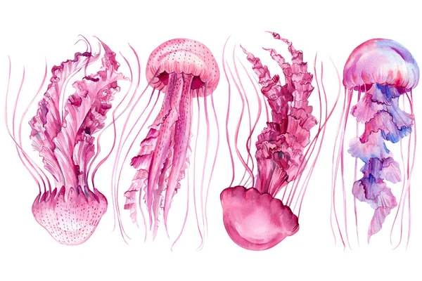 ピンクのクラゲは、隔離された白い背景、水彩画、手描き — ストック写真