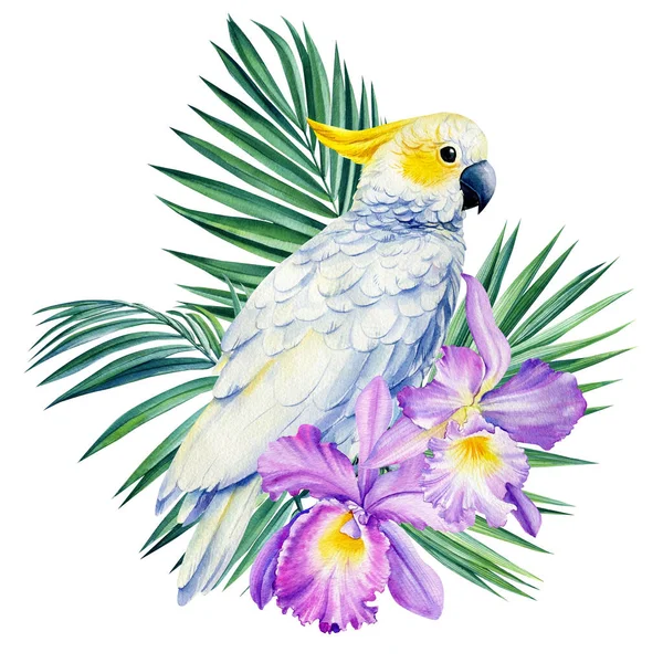 Kakadu papagáj, pálmalevél, trópusi virágok orchidea, akvarell botanikai illusztráció — Stock Fotó